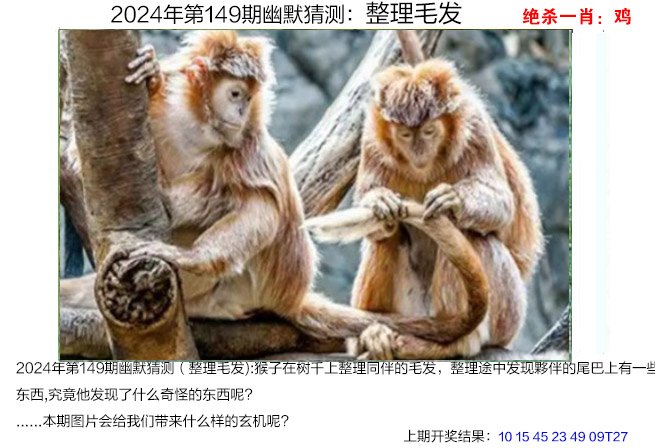 2024澳门资料龙门客栈,资深解答解释落实_特别款72.21127.13.