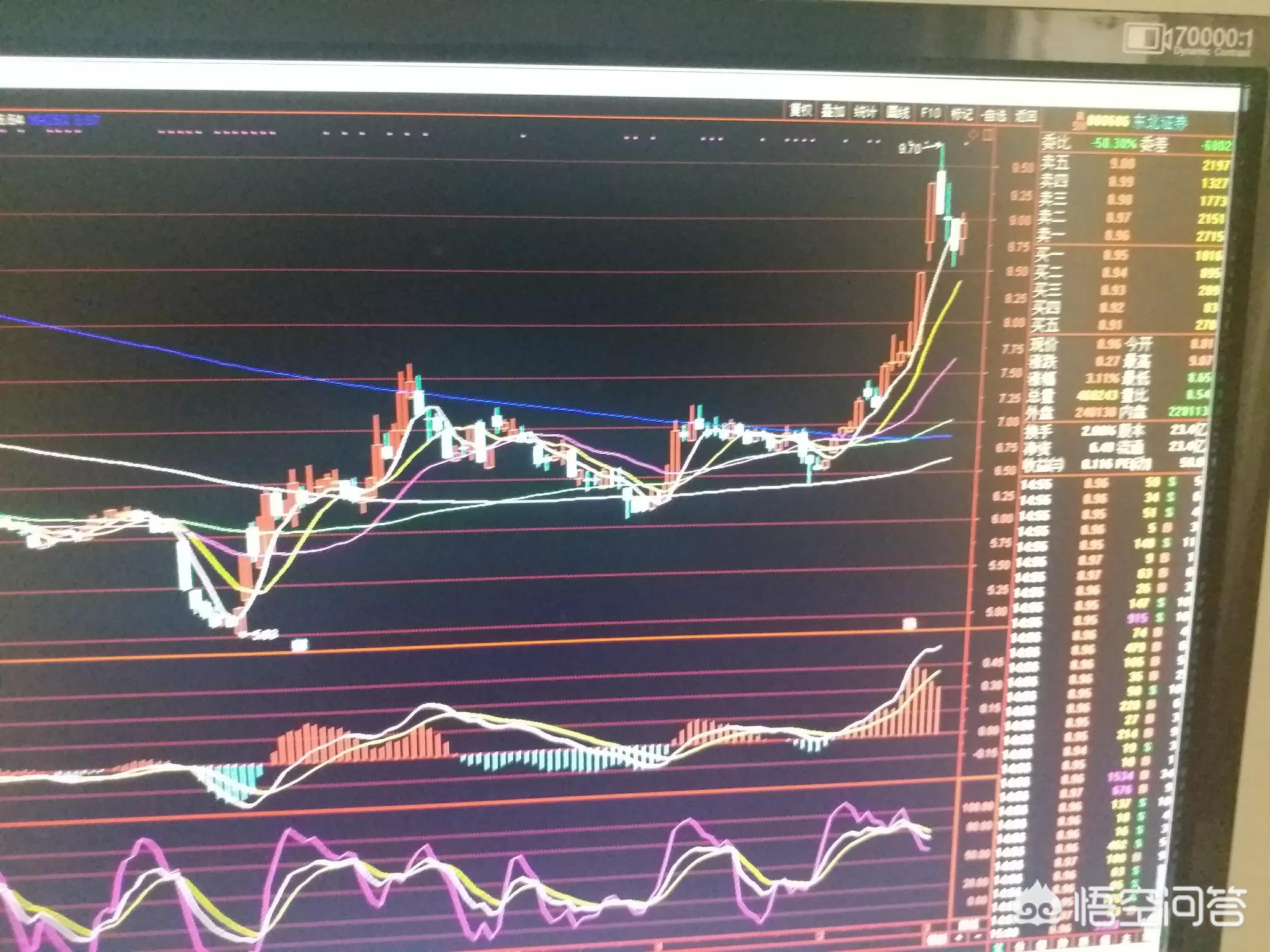 澳门一马中特料