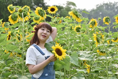 新澳800图库最新版本和看美女能延寿4到5年与看美女能延年益寿?
