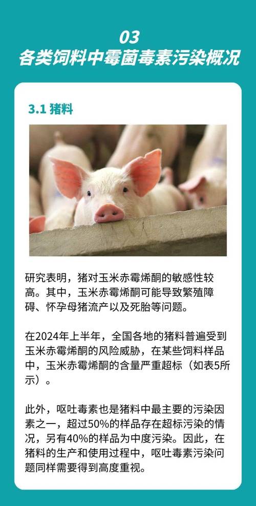 2025年新澳今晚资料大全和被蛇咬两年仍后遗症与被蛇咬了几年后身体有毒素吗