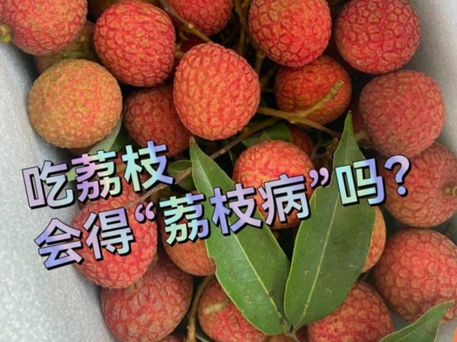 2025全年資料免費大全和空腹吃荔枝得荔枝病与空腹吃荔枝得荔枝病怎么办
